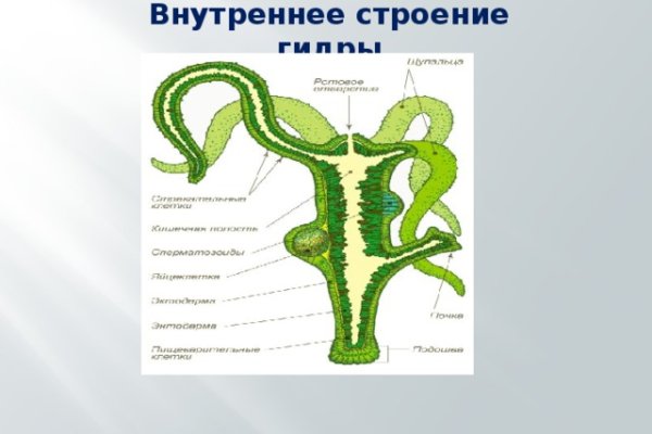 Кракен ссылка на тор официальная онион